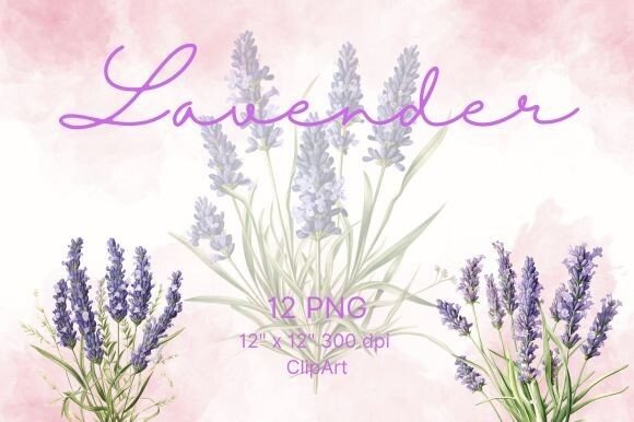 Download Lavender Flower Watercolor - Premium Resources